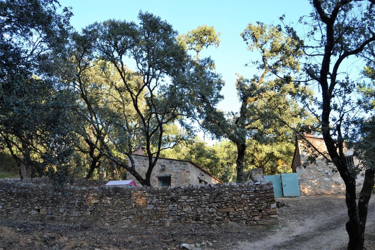 Nature Space Хабуго Экстерьер фото